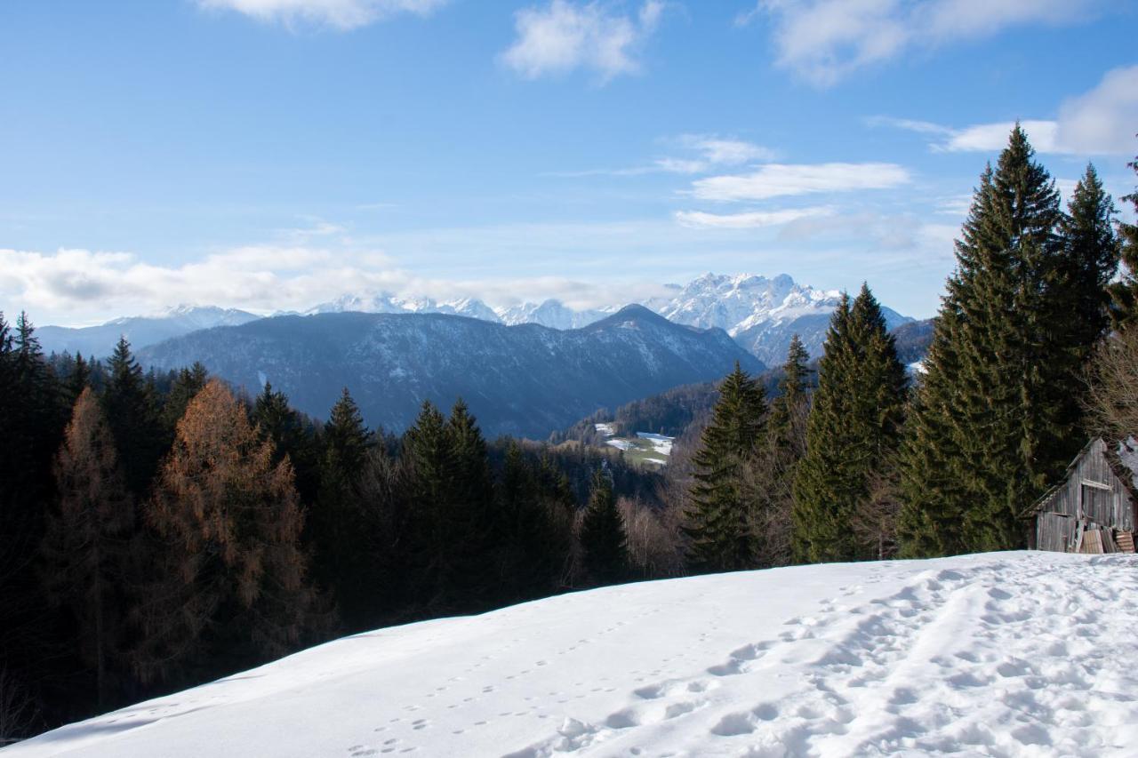 Alpine Cottage Golica Jesenice Exterior foto